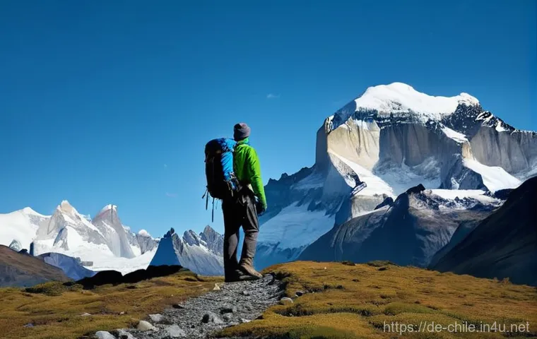 칠레 방문 시 주의할 점 - **Patagonian Alpine Trekker:** A breathtaking panoramic shot of the majestic Torres del Paine Nation...